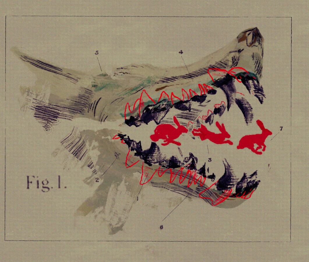 Fig 1.