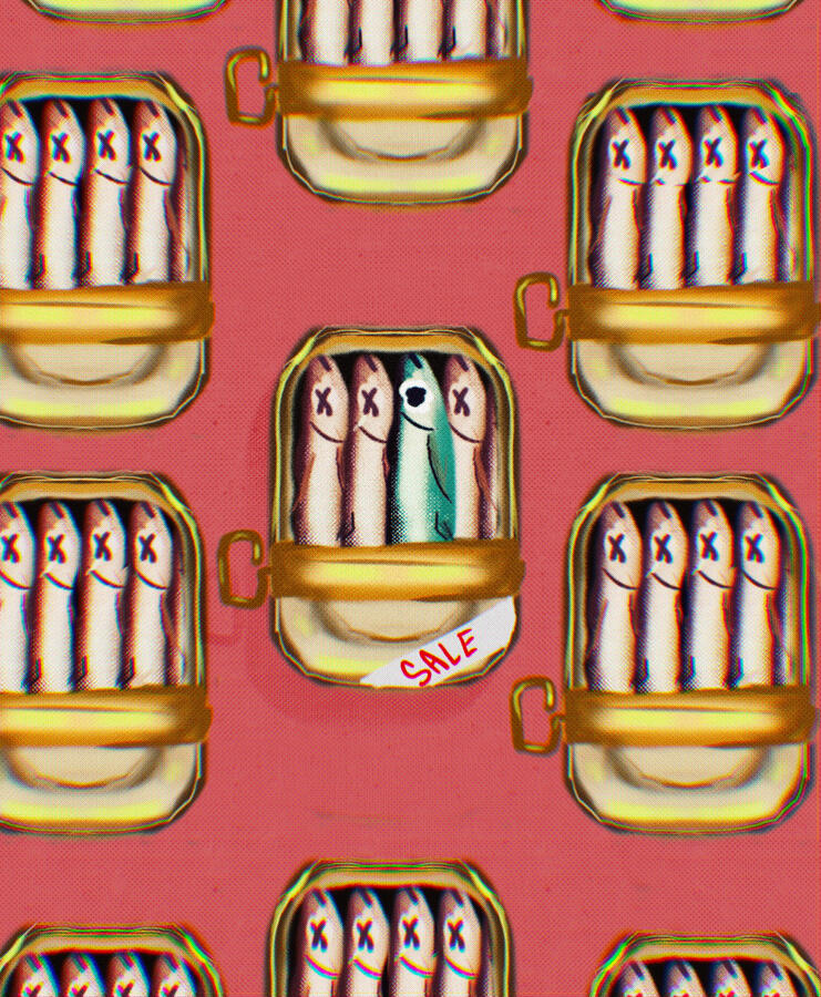 Canned Fish - 2022